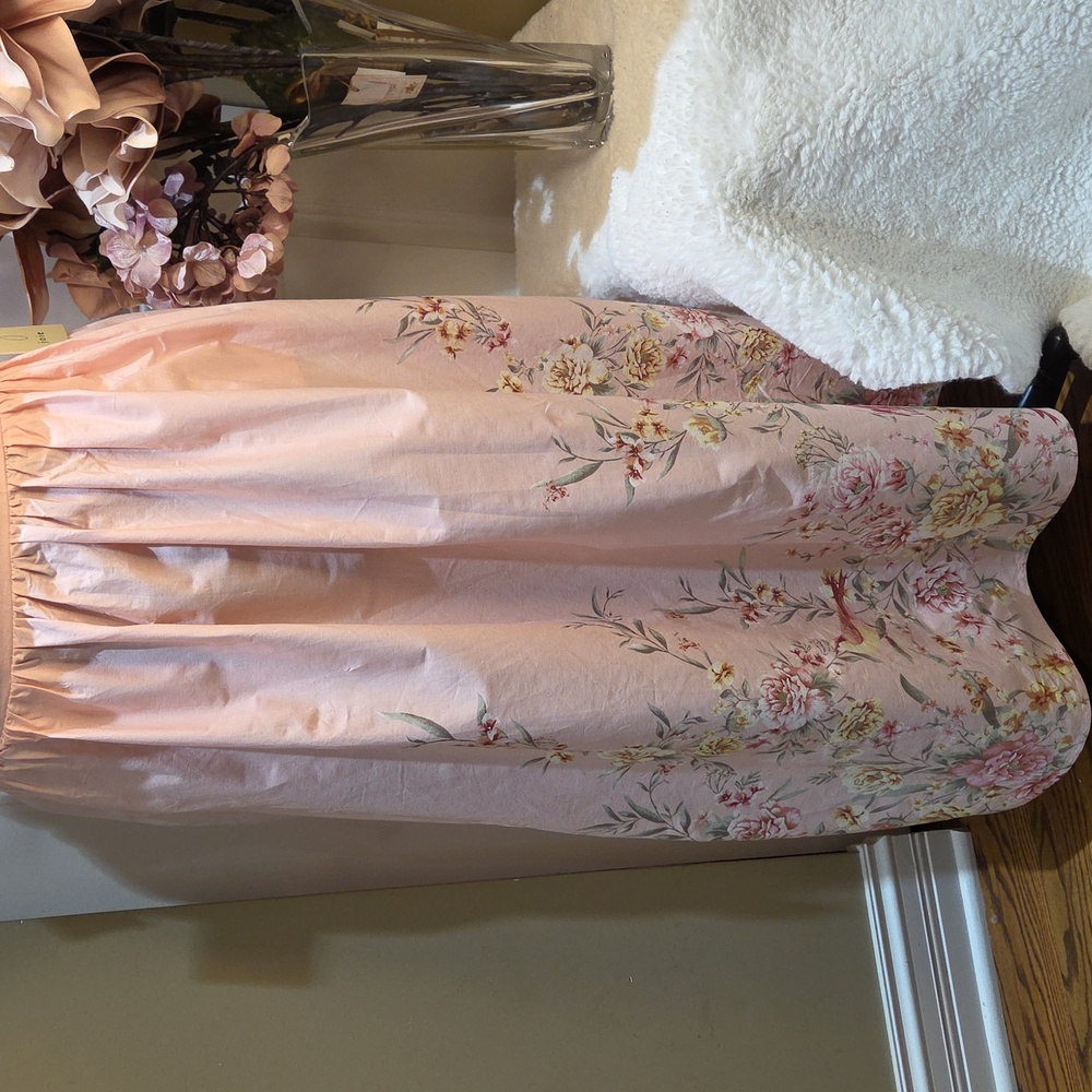 Nwt XL. Large. Medium Joie Light Pink Floral Maxi Dress  And Zipper In The Back - Picture 5 of 17